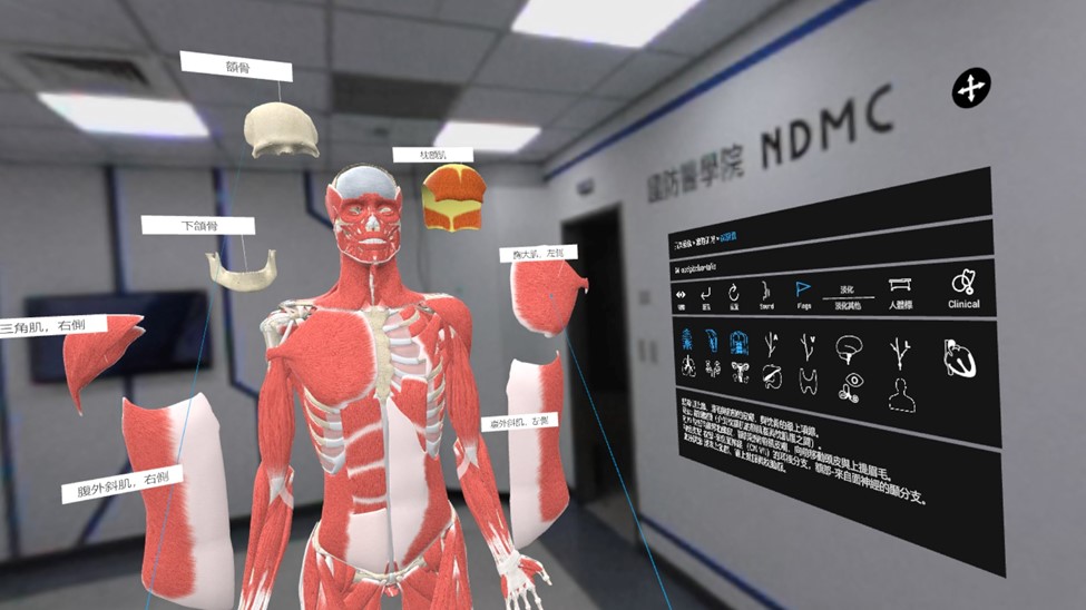 A virtual reality scene depicting the interior of an office-style space containing a detailed human anatomical model with labeled muscle groups highlighted. A user-interface panel hovers to the right.