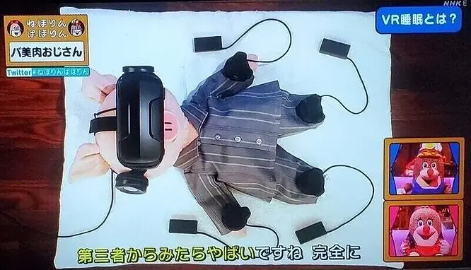 a demo of how the VR Sleep works on a pig in pajamas