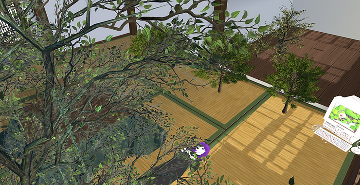 setting up green plants in virtual environment